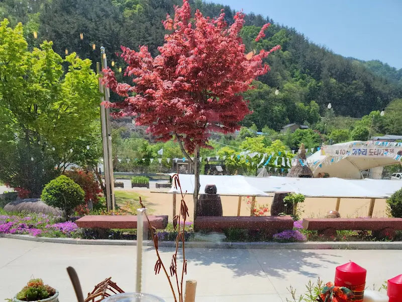 카페 옆 메밀밭 풍경