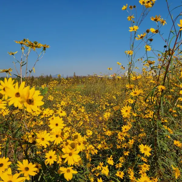 식당 주변을 둘러싼 아름다운 자연 경관