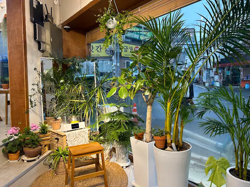 싱그러운 분위기의 카페 내부