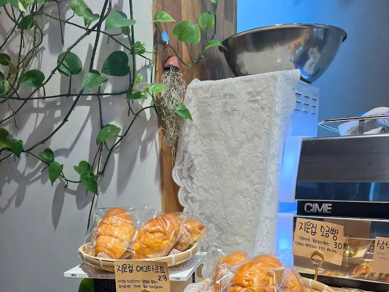 소금빵과 식물 인테리어