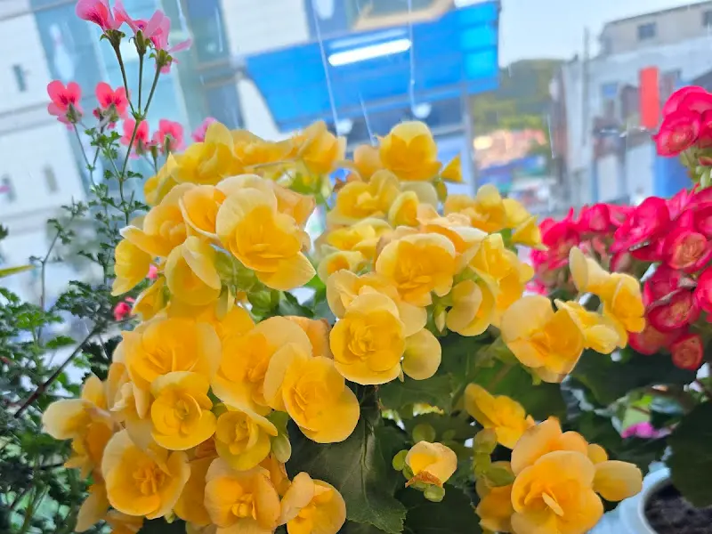 화려하게 핀 여러 종류의 꽃들