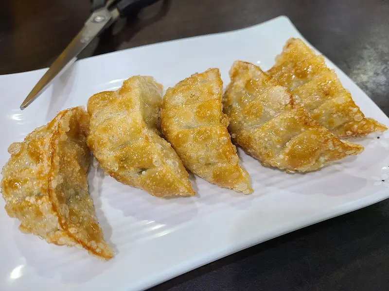 겉바속촉 군만두 클로즈업