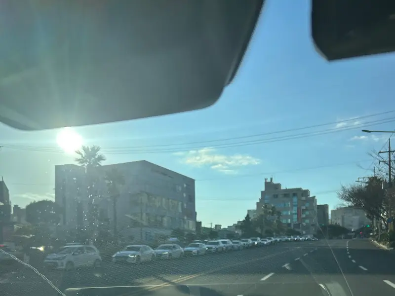 고사리육개장과 밥 한 공기