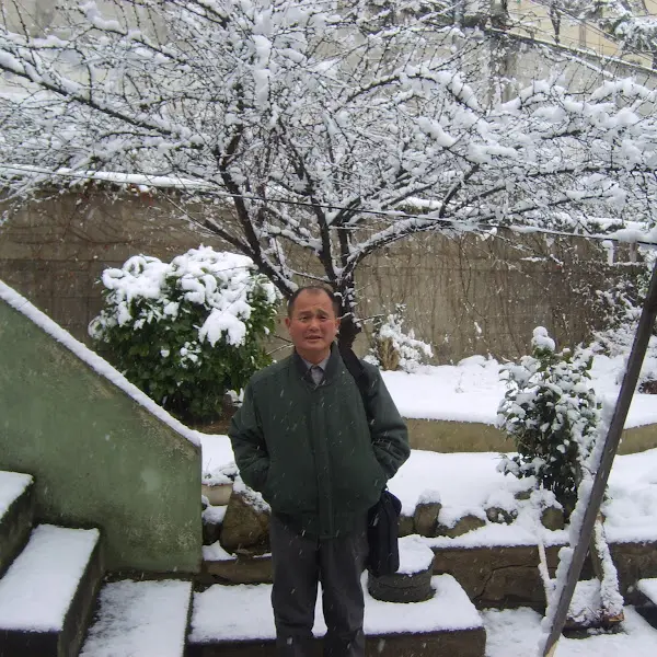 눈 내리는 풍경