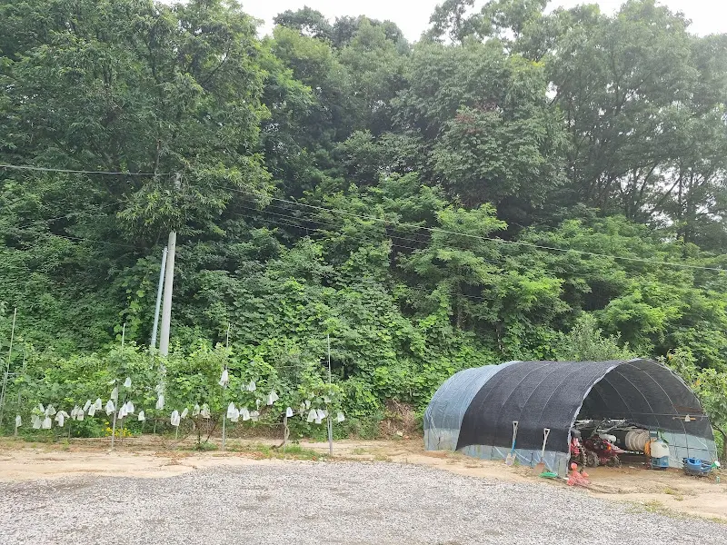 식당 주변 풍경