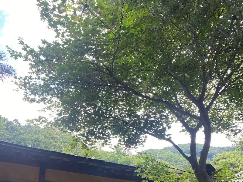 사각하늘 외부 풍경