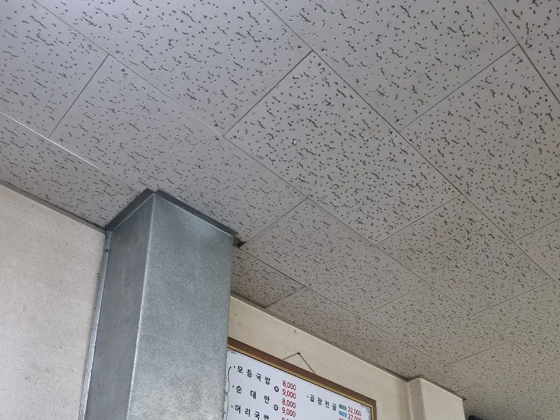 식당 천장