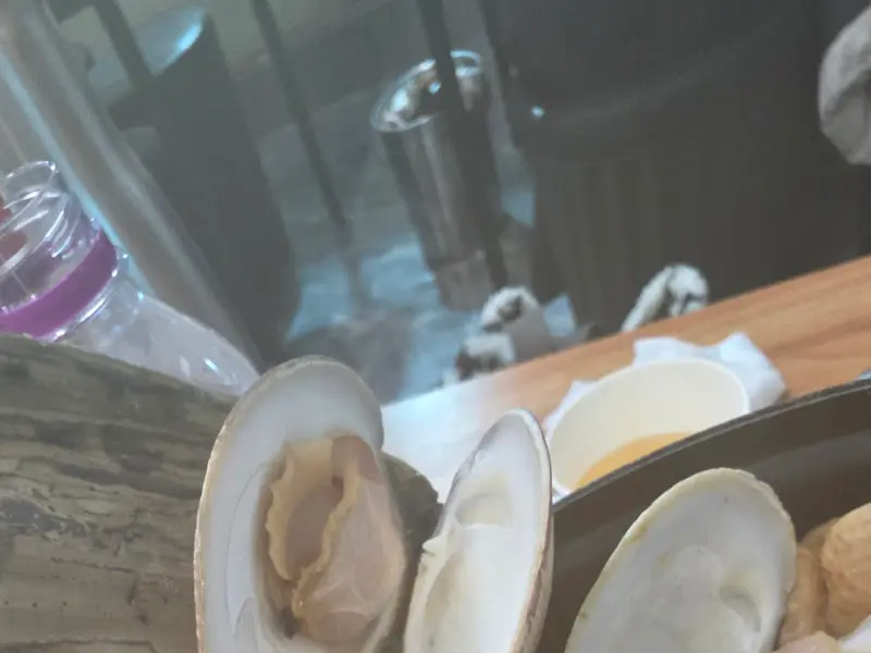 싱싱한 조개의 자태