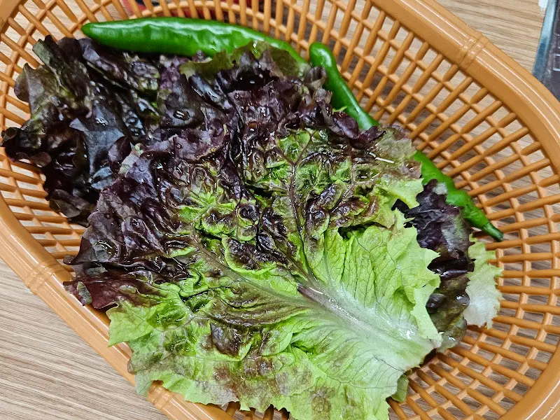 싱싱한 쌈 채소