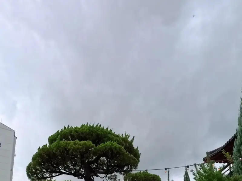 베이커리 궁 주변 풍경