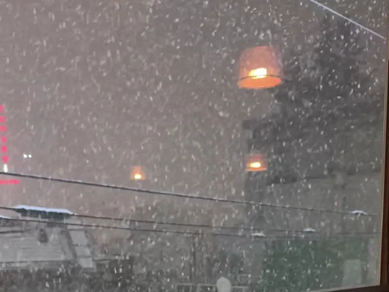 밤에 보는 설경