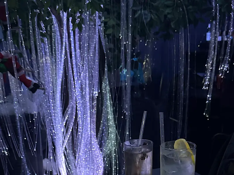 몽환적인 분위기의 아쿠아리오 내부