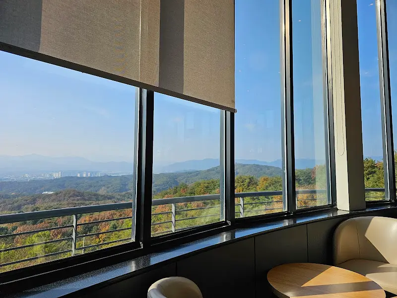 통창으로 보이는 아름다운 풍경