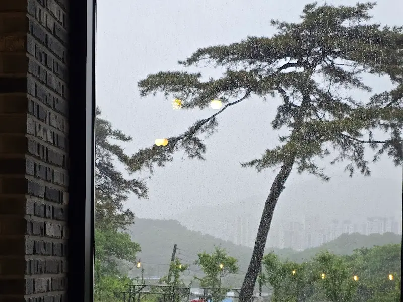 식당 창밖 풍경