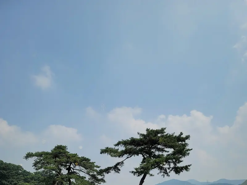 식당 주변 풍경