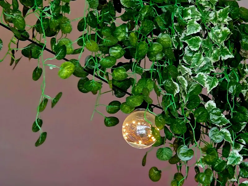 천장에 장식된 덩굴 식물과 조명
