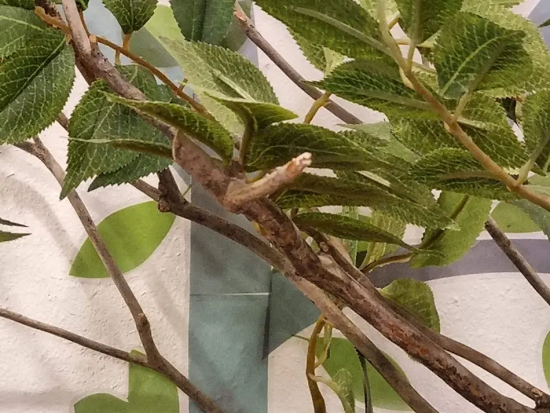 카페 내부 인테리어