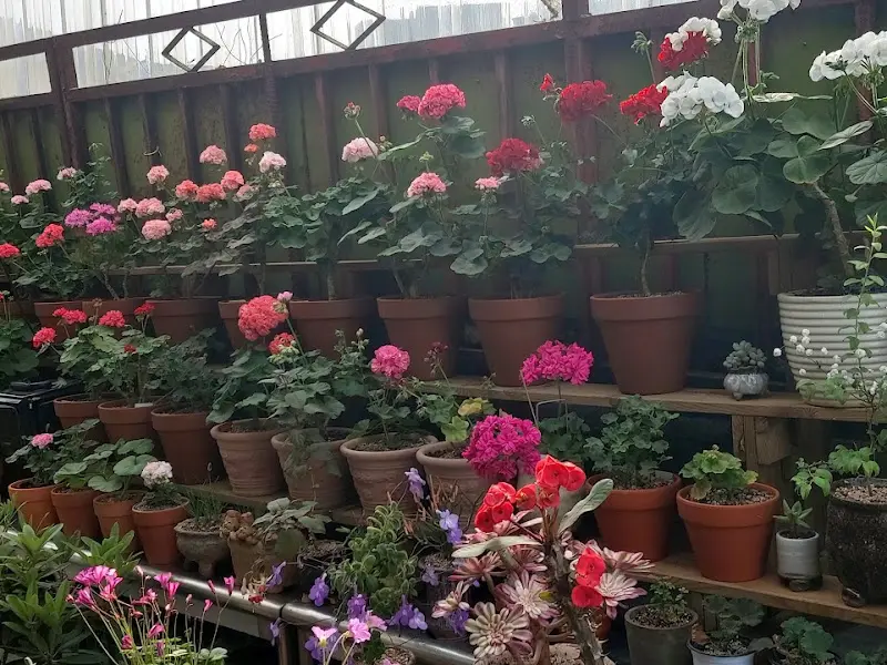 다양한 꽃과 식물들