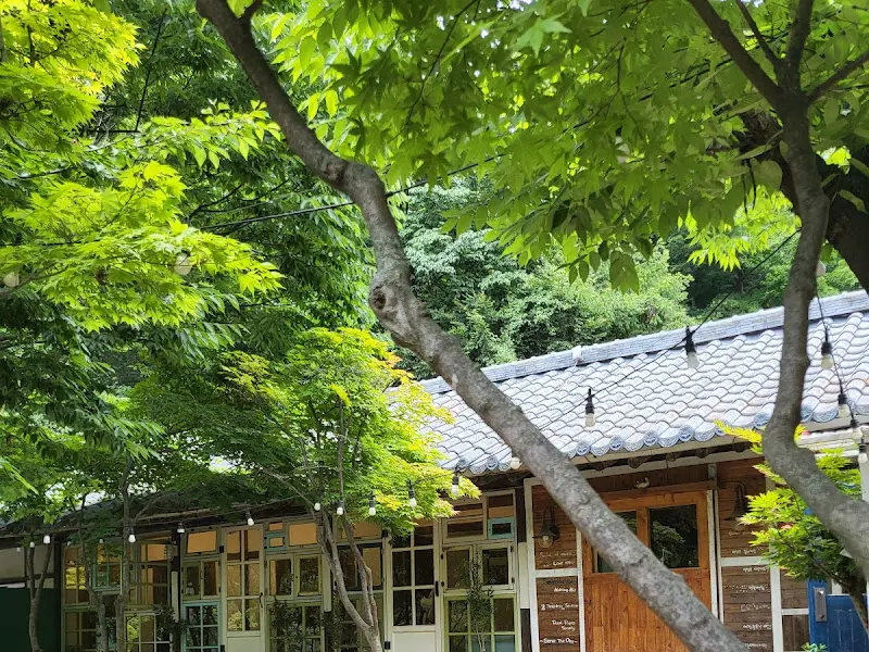 카페 지붕과 나무