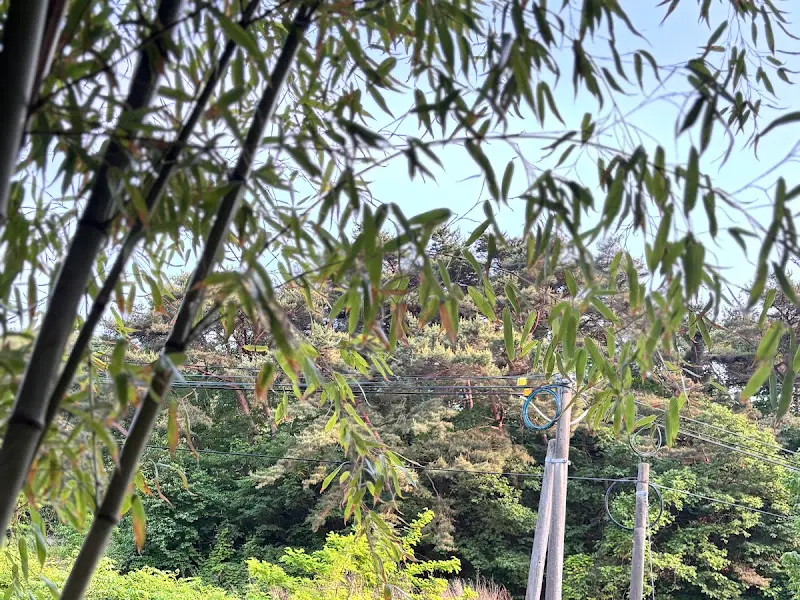 카페 주변 풍경