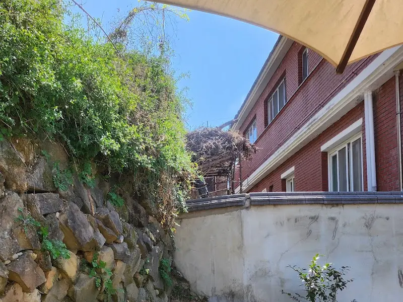 카페 옆 돌담길 풍경