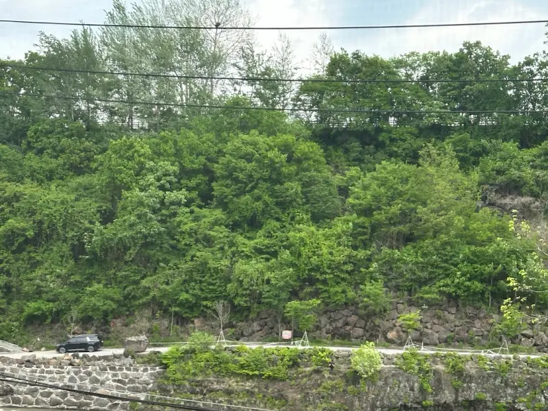 푸른 녹음과 어우러진 직탕폭포 전경