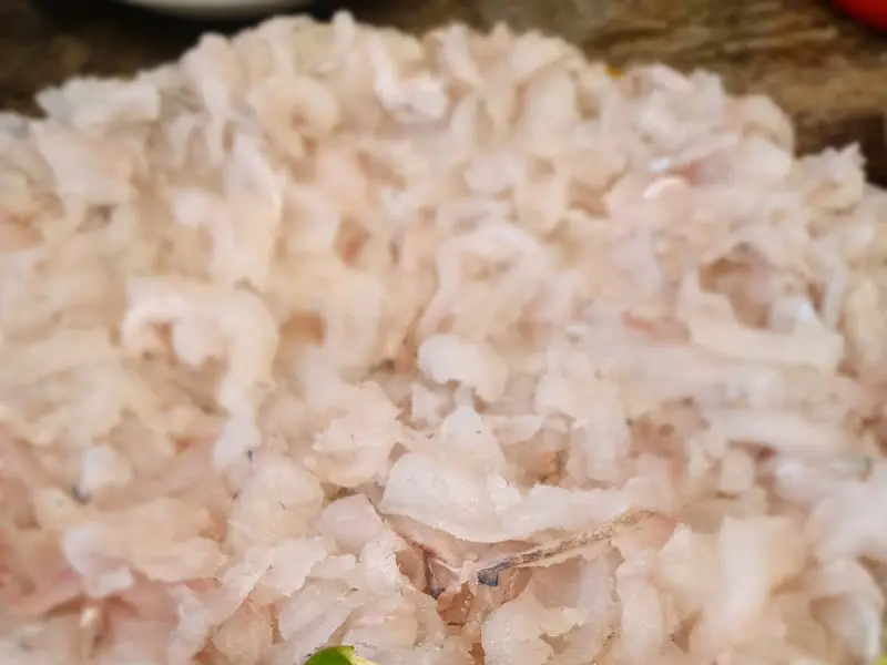 세꼬시 스타일의 회