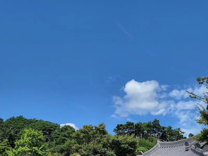 푸른 하늘과 초록빛 나무들이 어우러진 애뜨락의 풍경