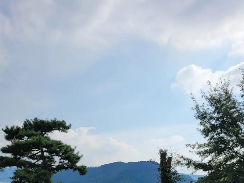 애뜨락에서 바라본 탁 트인 하늘