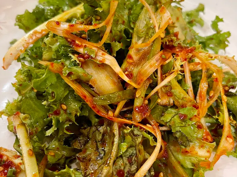 싱싱한 야채 샐러드