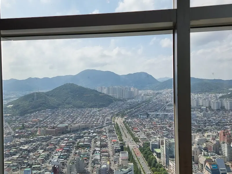 낮에 찍은 창밖 풍경