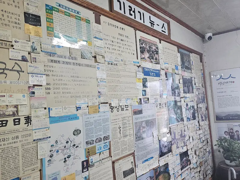 벽면에 붙어있는 다양한 홍보물과 낙서들