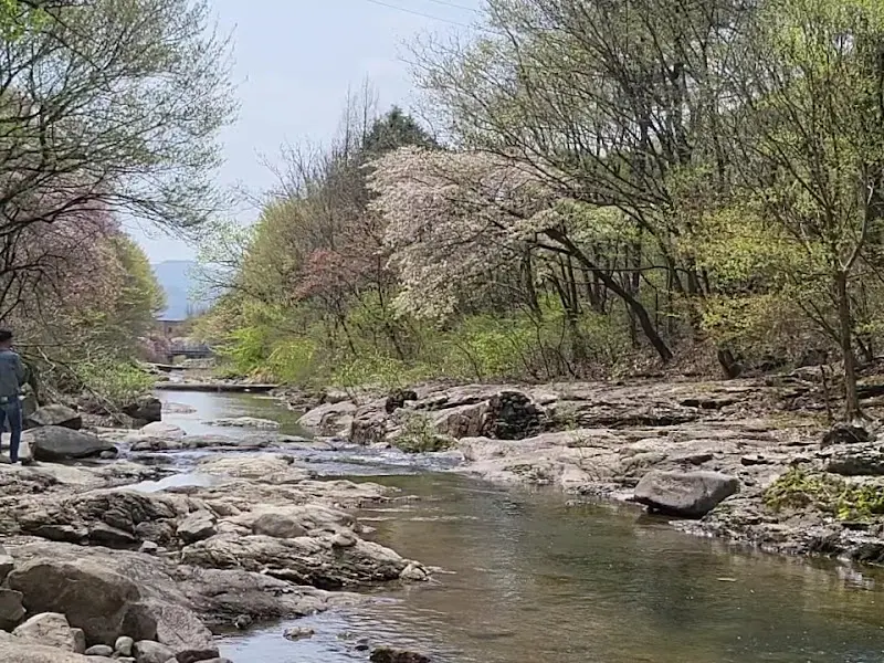 식당 옆 계곡