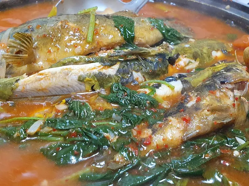 푸짐한 메기매운탕