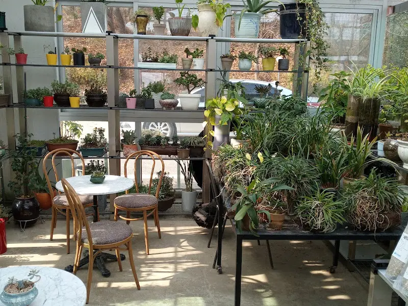 카페 내부 모습