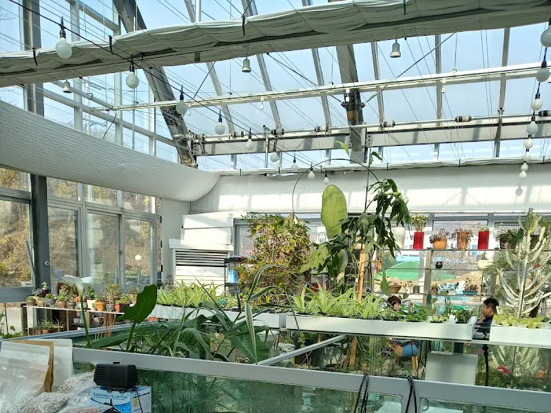 온실 카페 전경