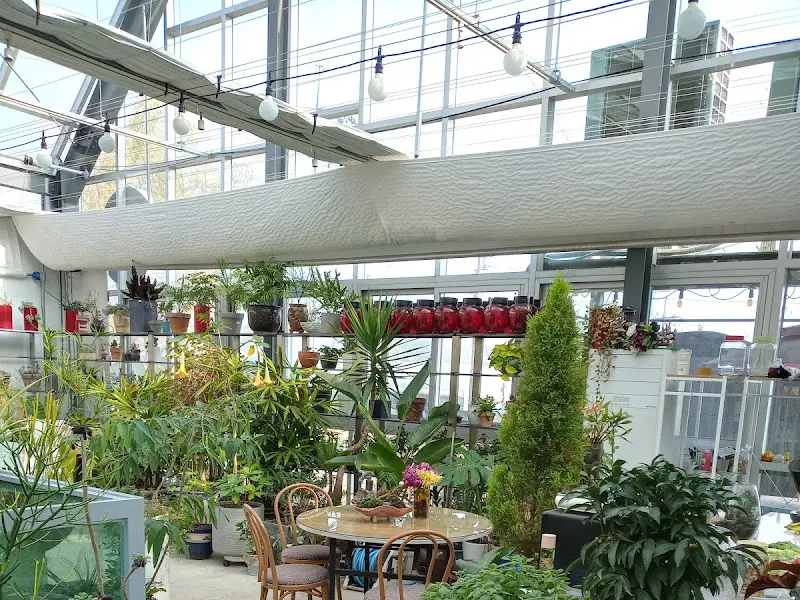 테이블 가득찬 음식