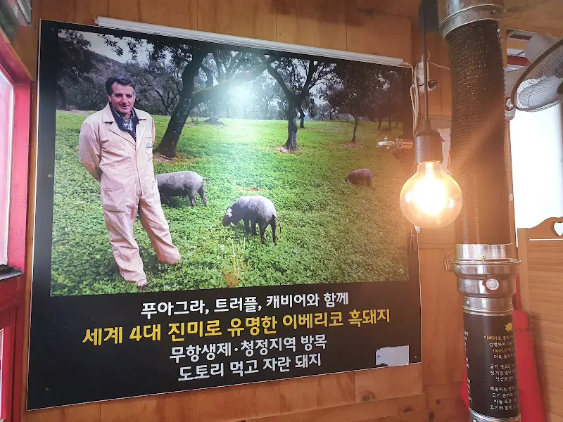 육향1.6.8 이베리코 설명