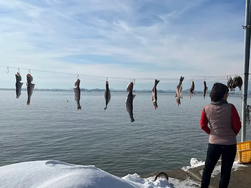 바닷가에 걸린 생선들