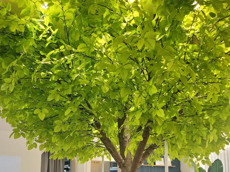 비다벨로 내부 인테리어