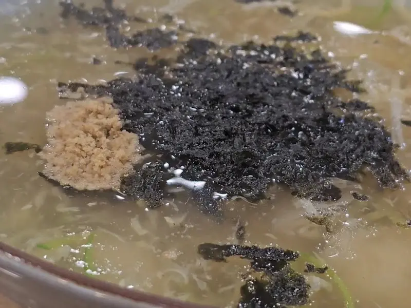 전통 감자옹심이 클로즈업