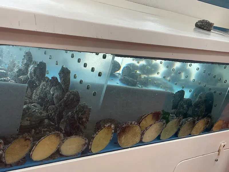 싱싱한 전복이 가득한 수족관