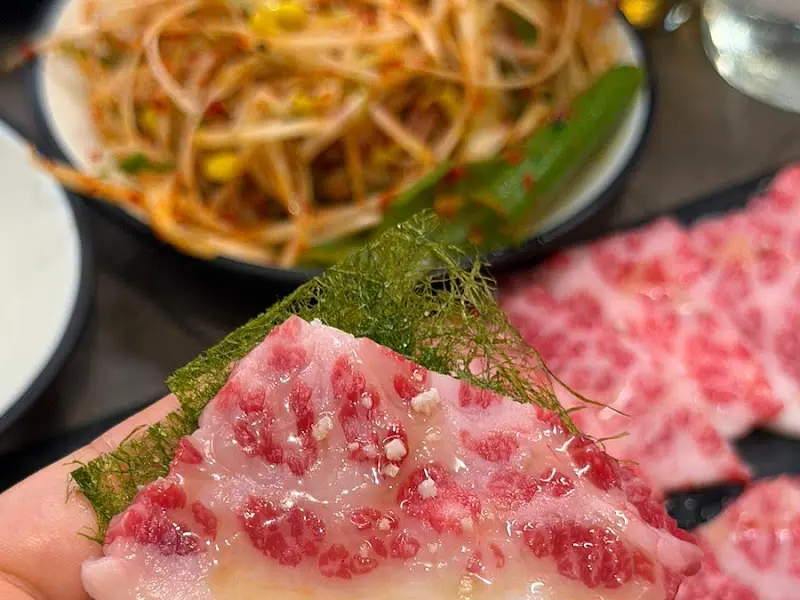 차돌 사시미 근접샷