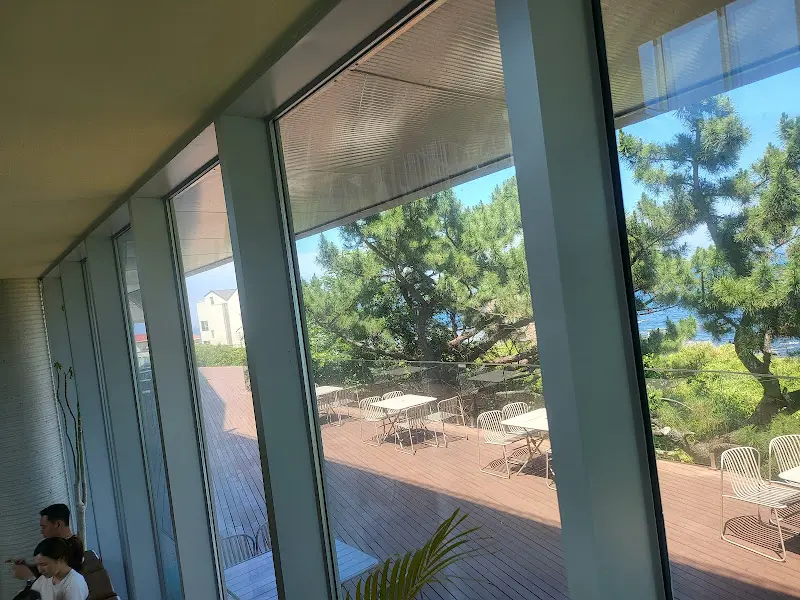 카페 내부에서 보이는 바깥 풍경