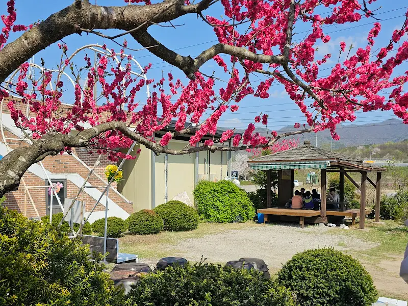 들깨 삼계탕 근접샷