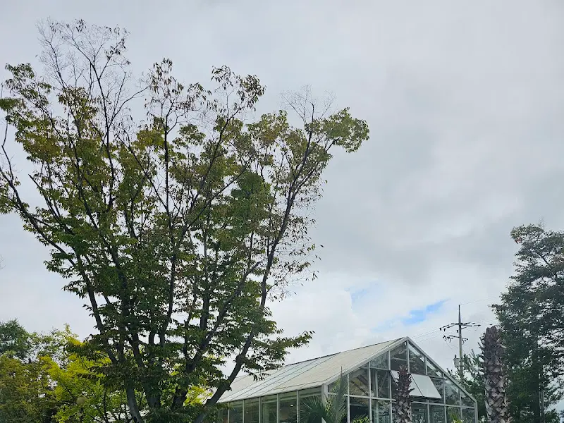 온실처럼 꾸며진 공간, 따뜻한 햇살이 아늑함을 더한다.