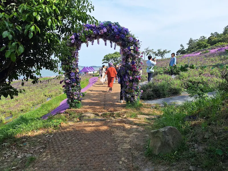 라벤더 아치 아래에서 추억을 담다