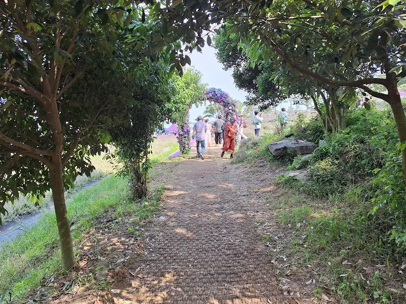 보랏빛으로 물든 언덕길