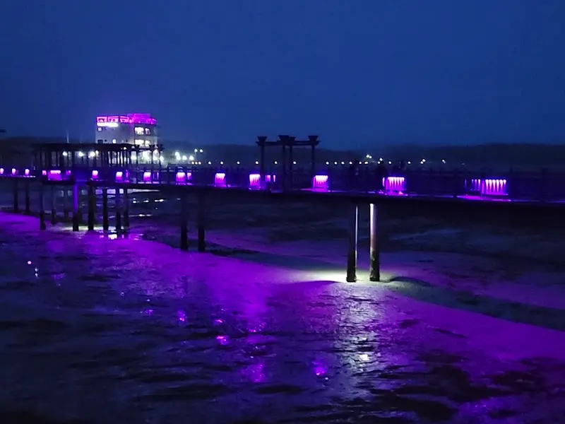 밤이 되면 보라색으로 빛나는 퍼플섬 다리