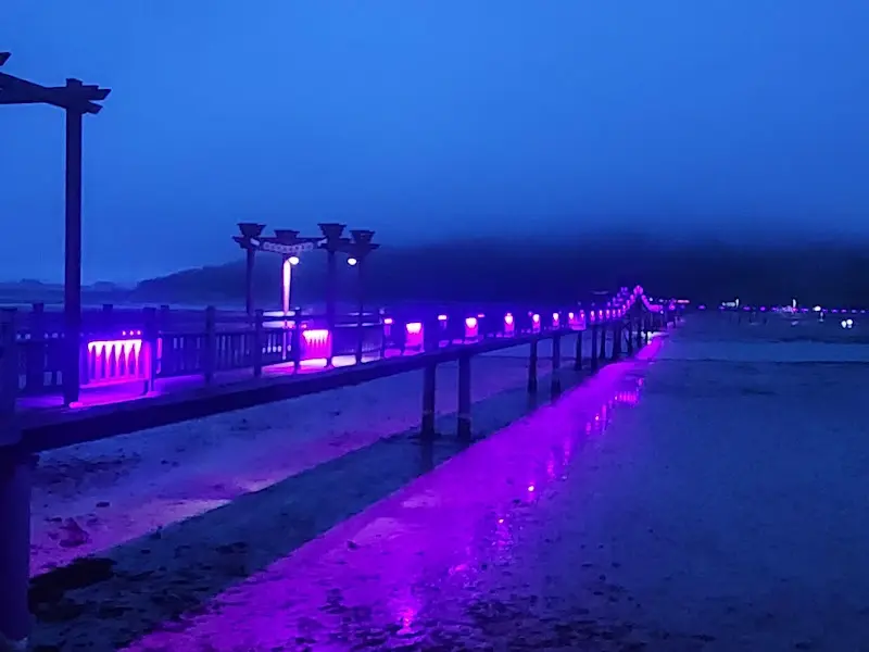 밤의 퍼플섬 다리 야경